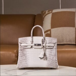 Hermès Birkin 25 Himalayas Silver buckle